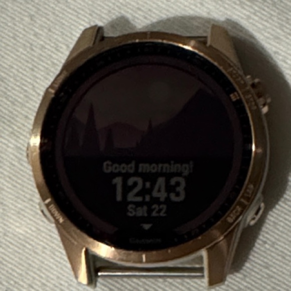 Garmin Gold Smartwatch with Black Display